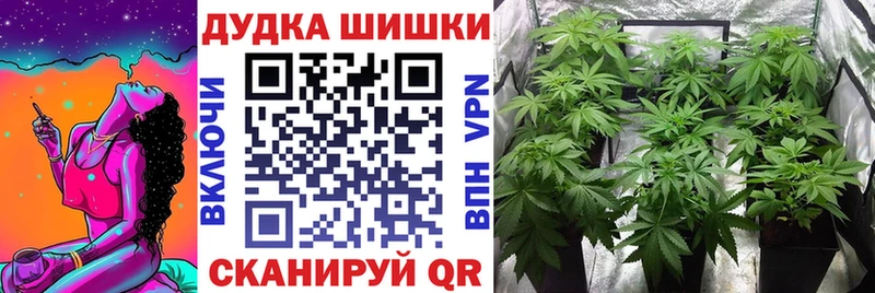 Виды наркотиков купить Ставрополь Гашиш  Конопля  A PVP  Мефедрон  Cocaine 