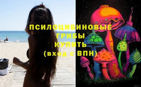 Альфа ПВП Мегион