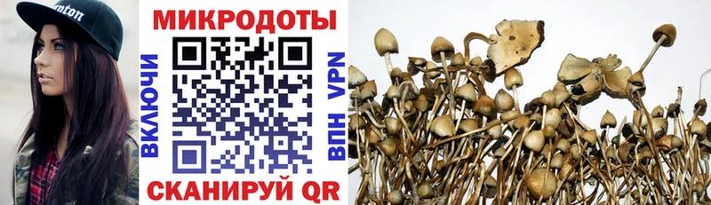 Псилоцибиновые грибы ЛСД  Ставрополь 