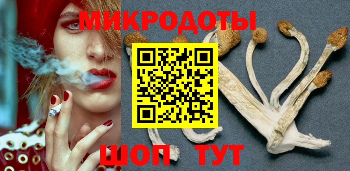 Псилоцибиновые грибы мухоморы Ставрополь