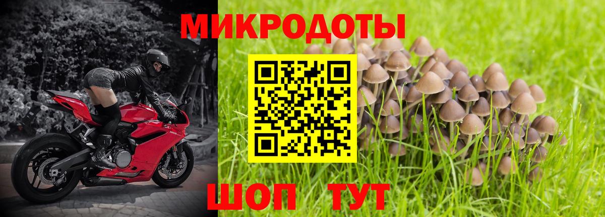 где продают наркотики  Галлюциногенные грибы мицелий  Вход с VPN  Псилоцибиновые грибы Cubensis  Ставрополь 
