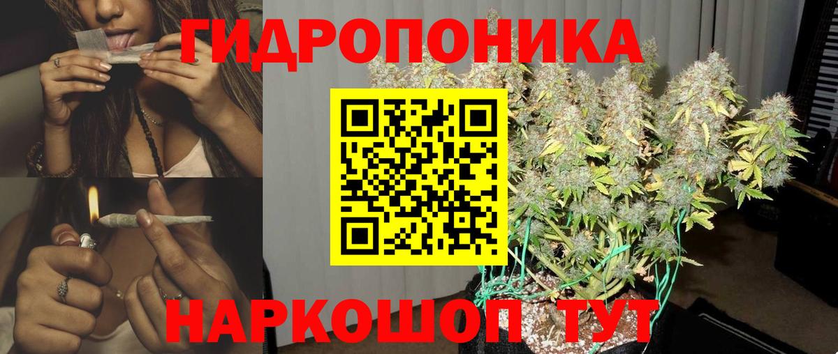 Шишки марихуана план Ставрополь